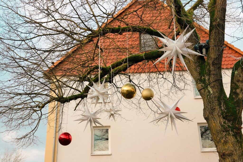 Festive Ornaments Hanging on Tree Outdoors