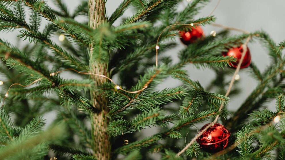 Real vs Artificial Christmas Trees: Complete Guide