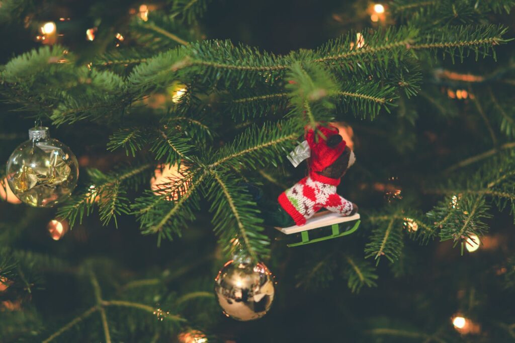 Shallow Focus Photography of Red and White Hanging Christmas Tree Decor